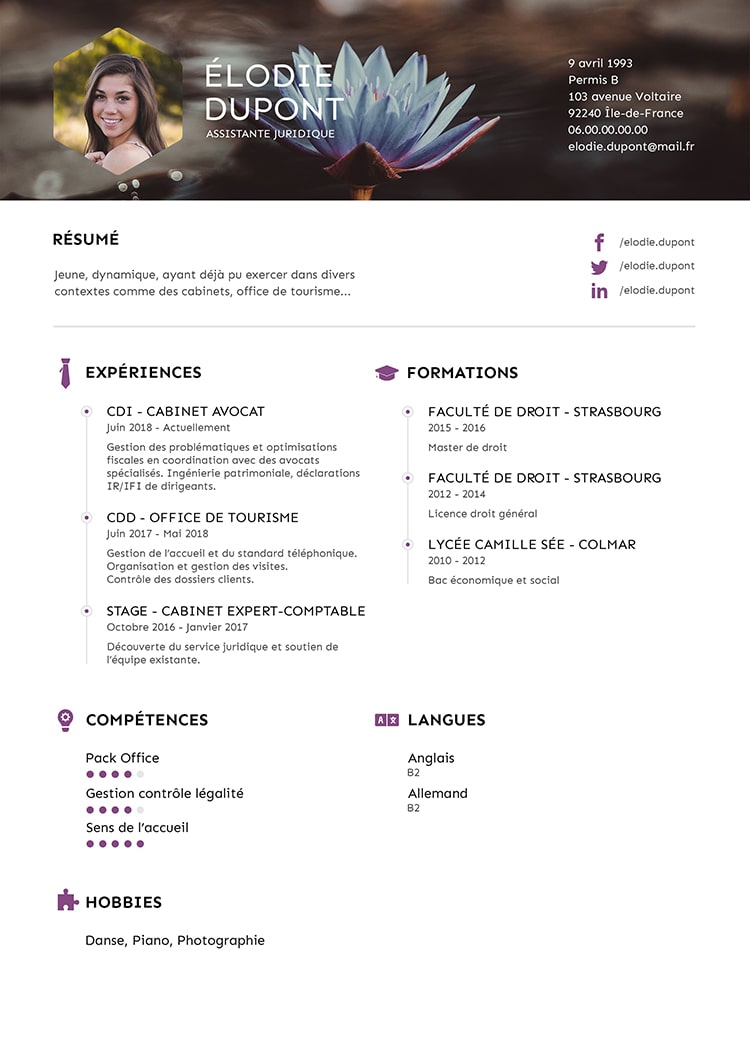 CV modèle Visuel